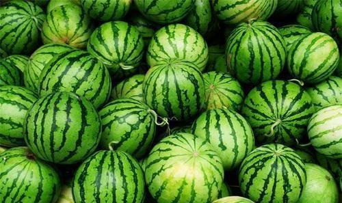 今日吃瓜天天吃瓜网,揭秘娱乐圈最新热点，吃瓜群众必看