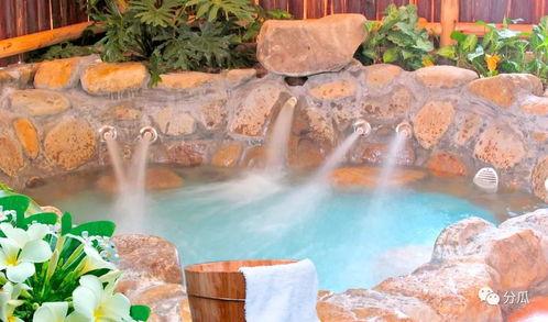 网红笛笛 温泉吃瓜,揭秘网红圈幕后故事